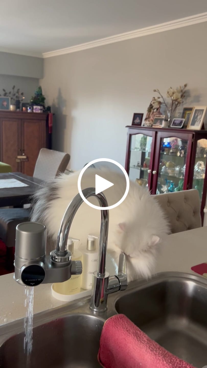 Customer video review of Tap Filter Refills
