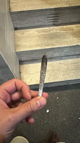 Customer holding a lit joint rolled with California Love THCA Flower on a staircase.
