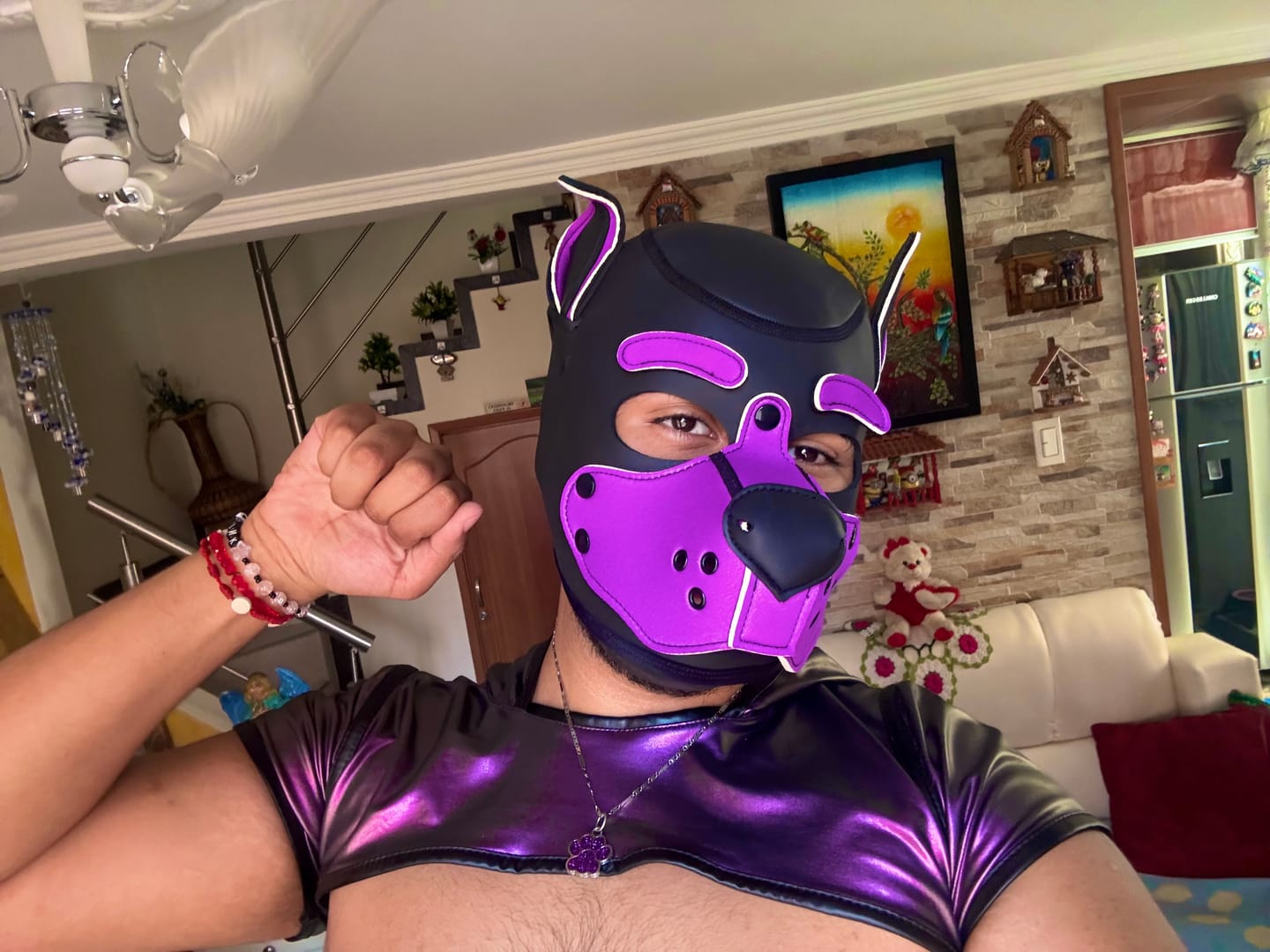 Customer photo review of Gibbon Black - Standard Neoprene Puppy Hood with 3 Sets of Changeable Eyebrows