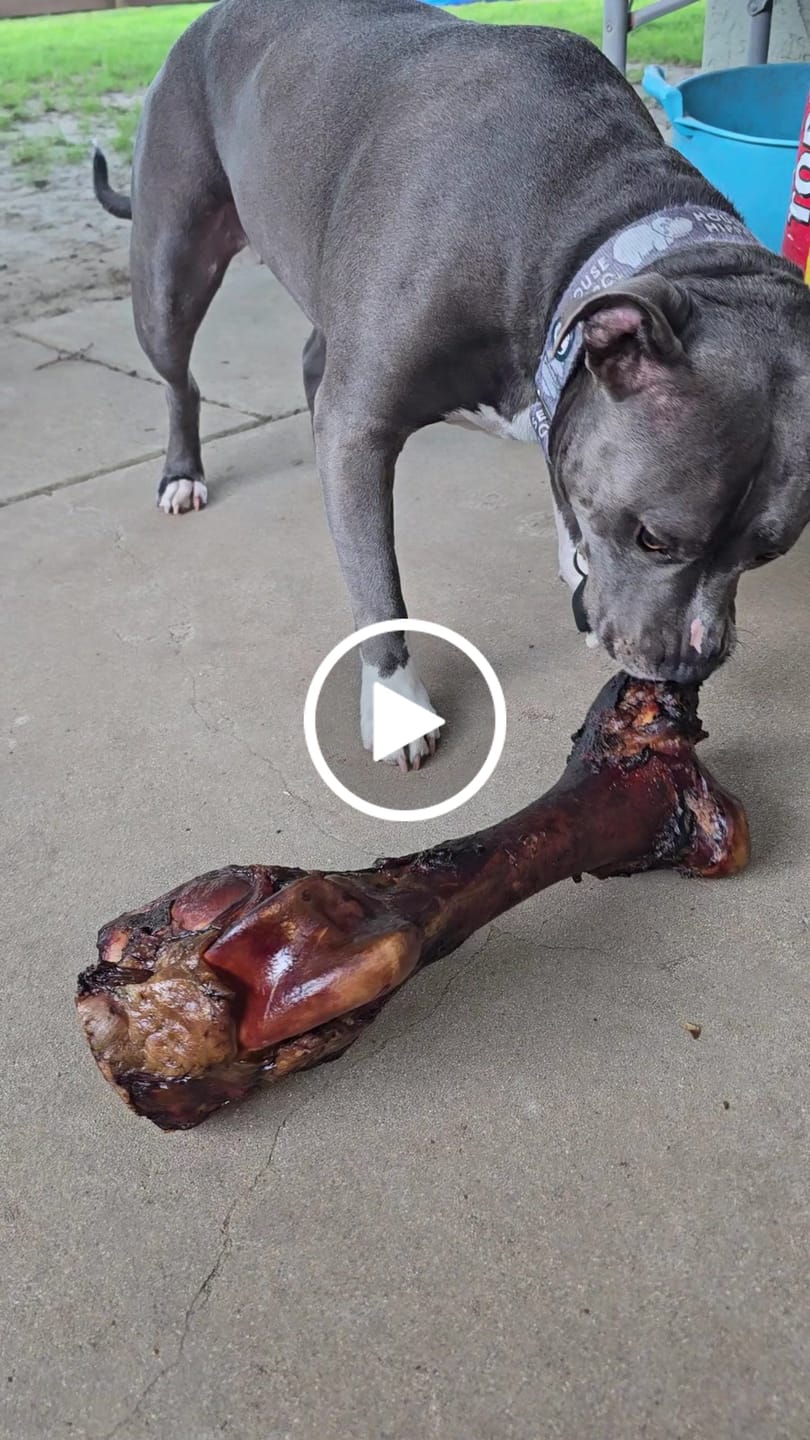Customer video review of Smoked Dinosaur Bones