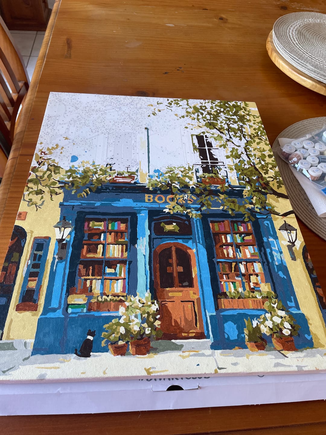 Customer photo review of The Blue Bookshop | Paint by Number