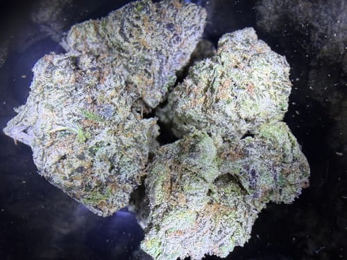 Blueberry Syrup - Bulk - Indica photo review