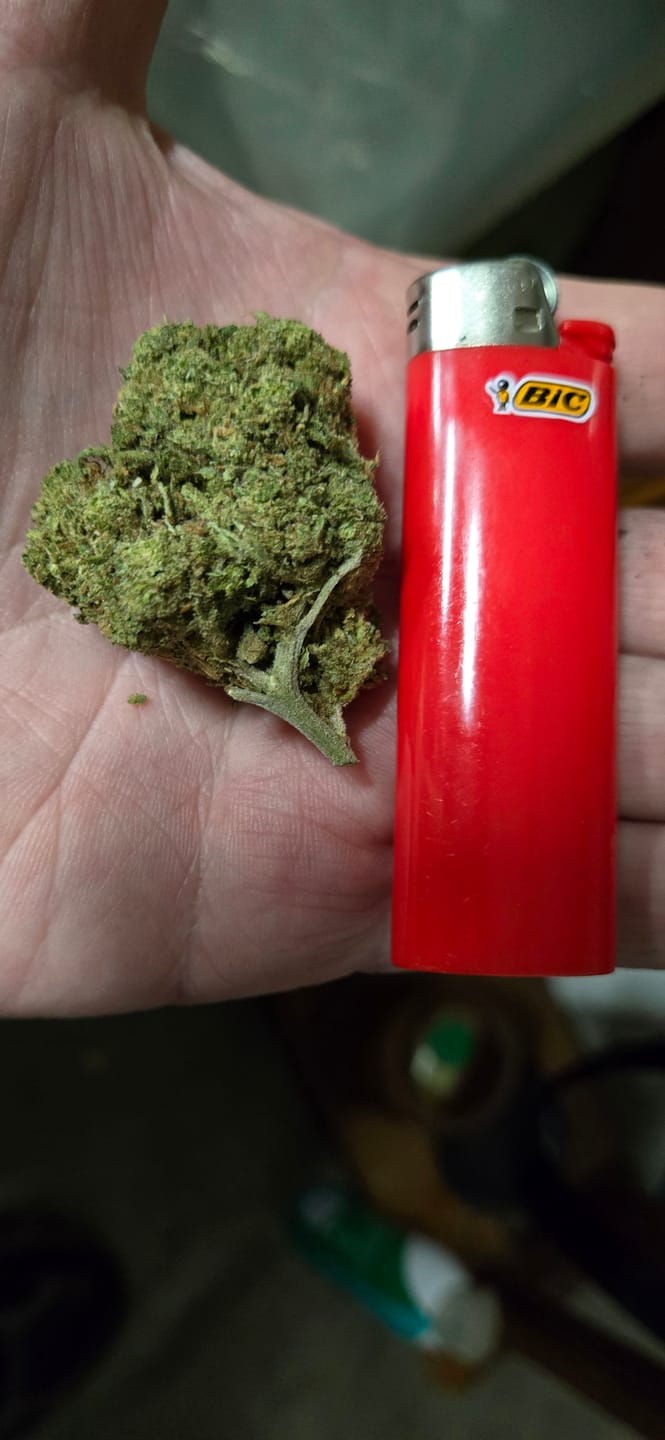 Customer photo review of Blue Dream - 28 Grams - Sativa