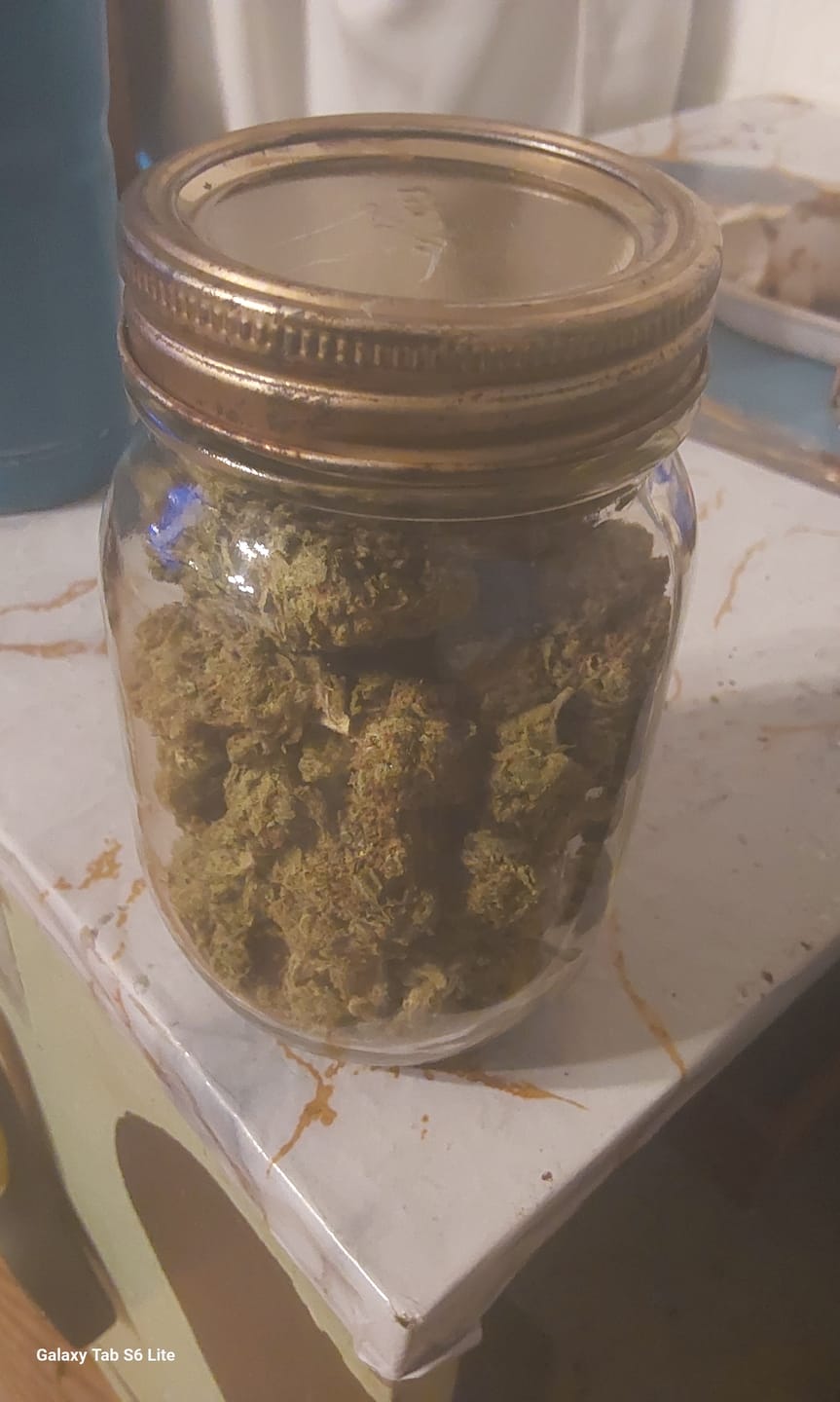 Customer photo review of Tahoe OG - Bulk - (Indica)