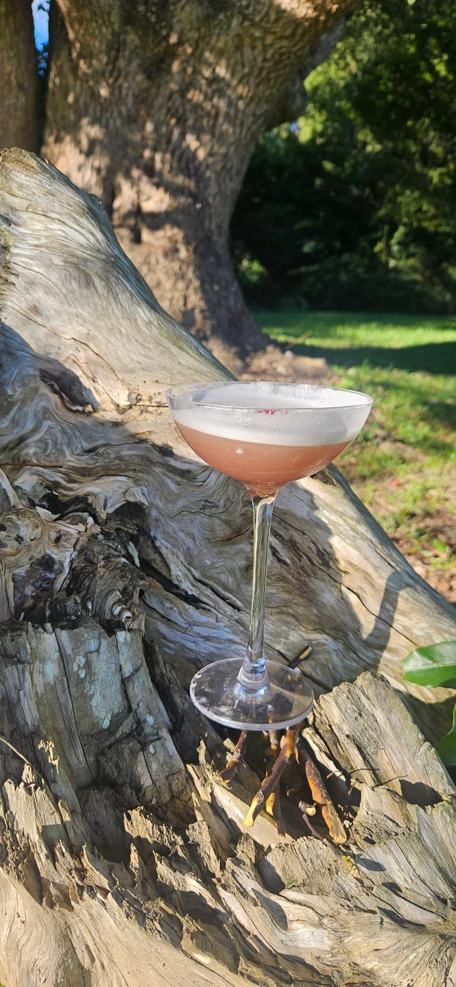 Customer photo review of Nick and Nora Coupetini - 195ml, Polycarbonate