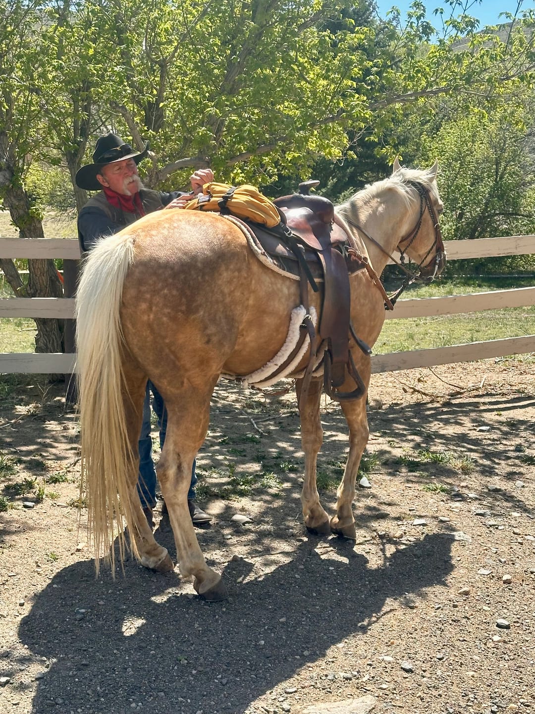 Customer photo review of THE BRUMBY