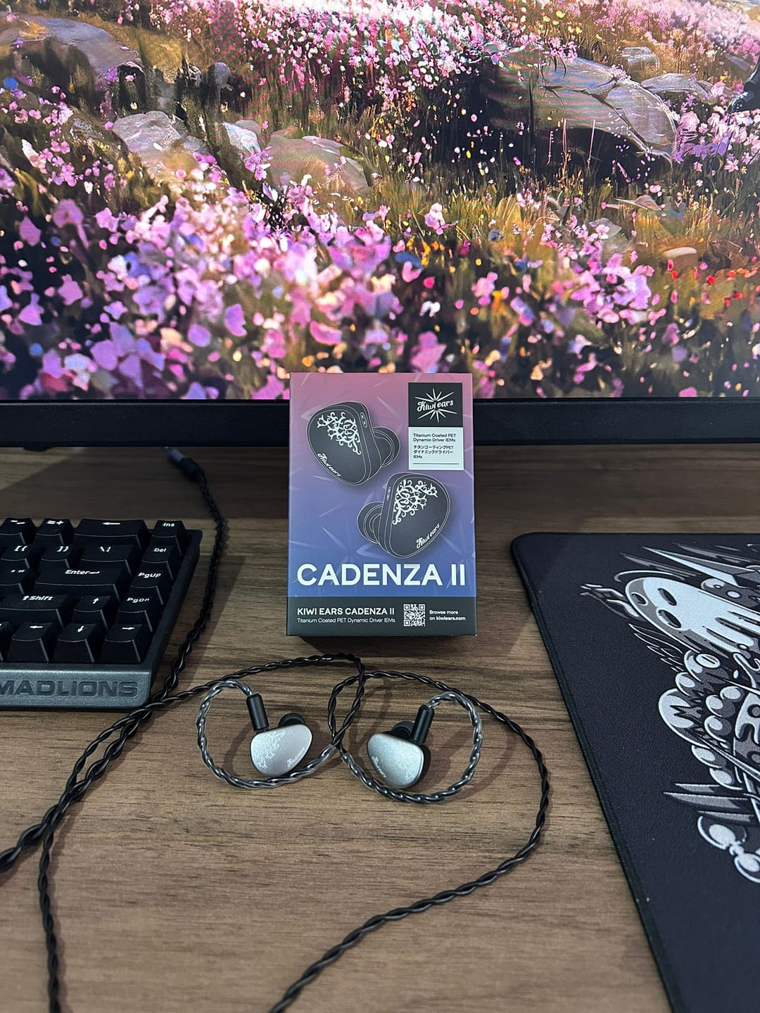 Customer photo review of Kiwi Ears Cadenza II IEM Kulaklık