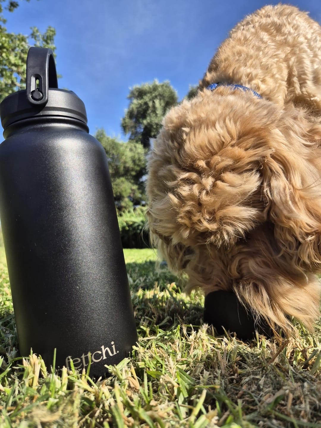 Customer photo review of The Fettchi Bottle - Beige