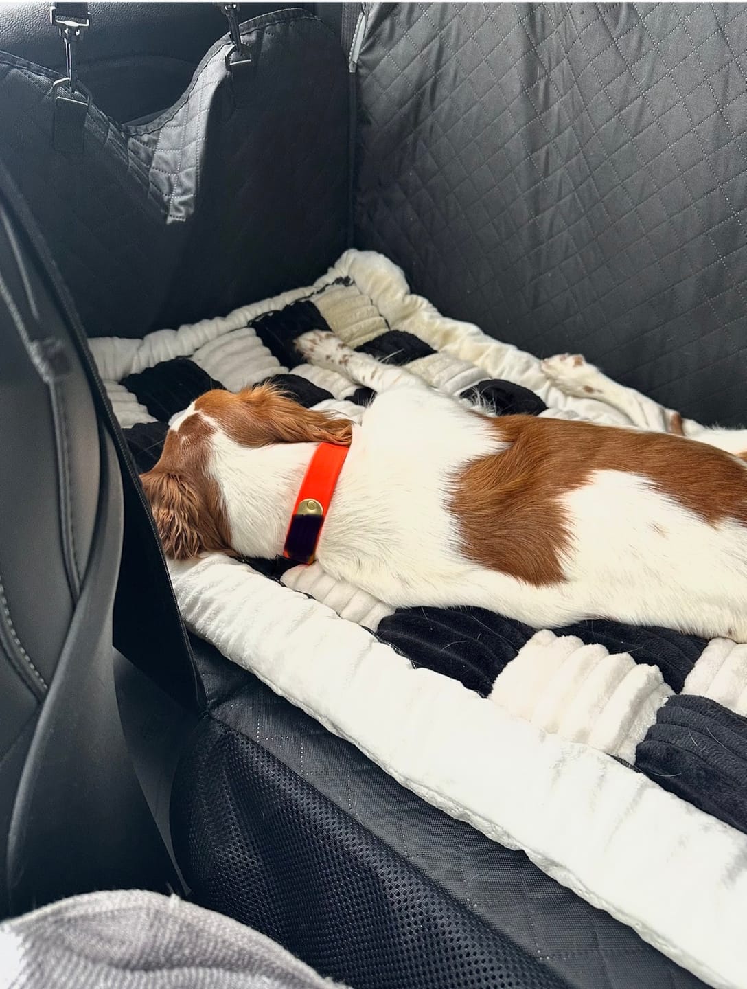 Customer photo review of Waterproof Single-Seat Cover