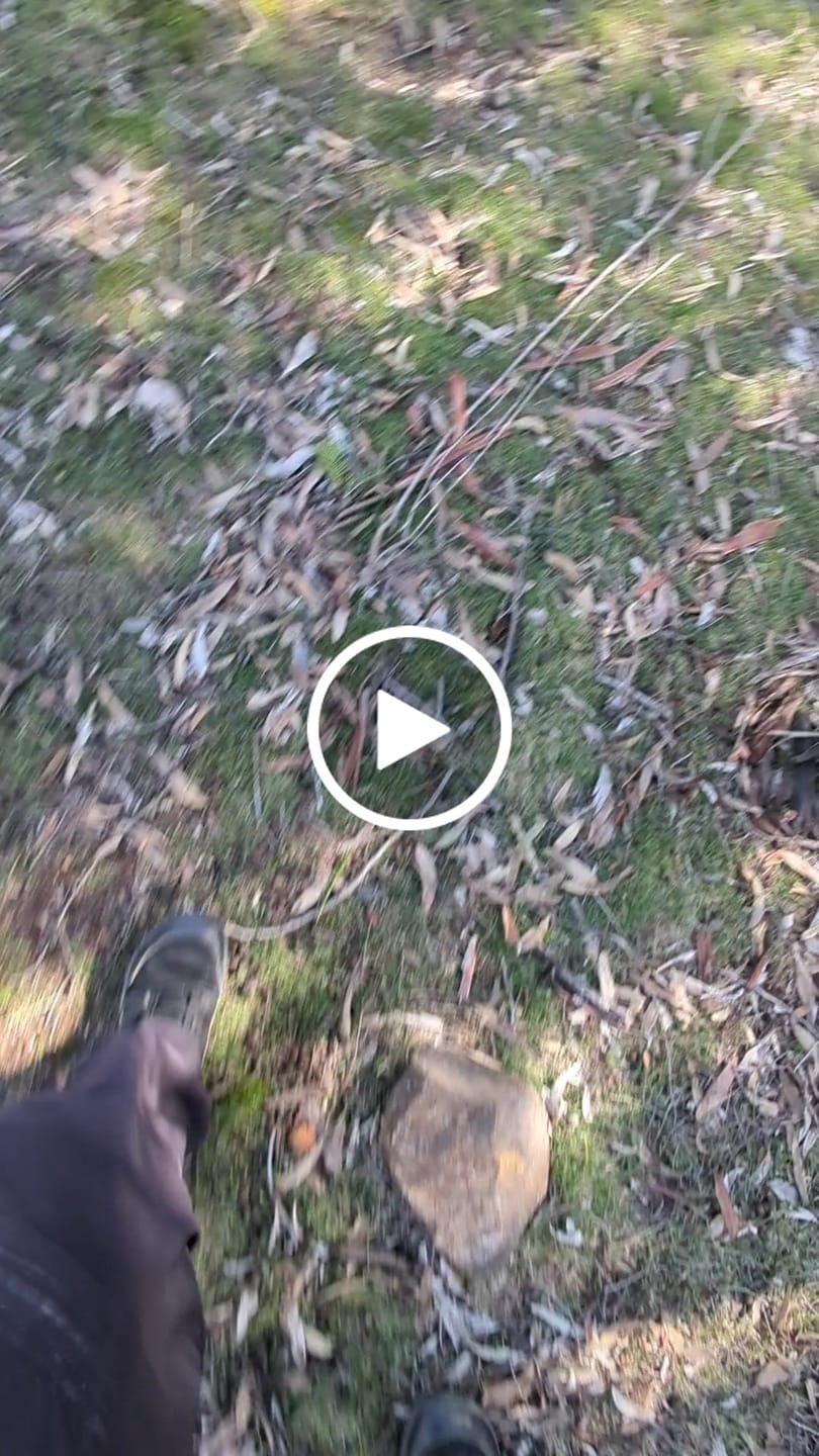 Customer video review of Forestep Ⅰ - Barefoot Shoes