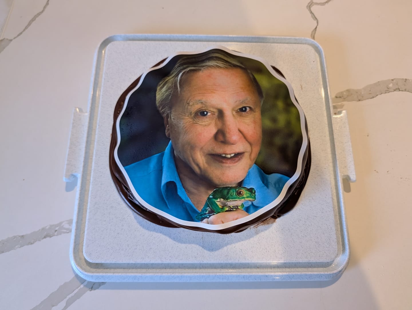 Customer photo review of 20 cm Pre-cut Circle Custom Edible Icing Image