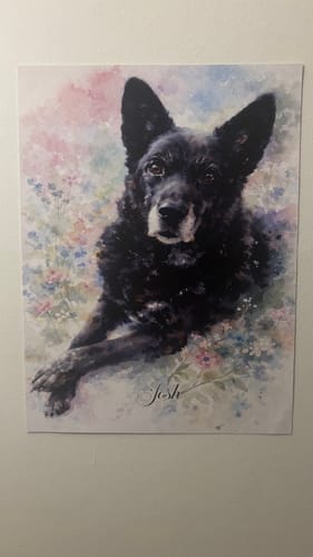 Customer photo review of Personalised Poster With Dog or Cat - Watercolour