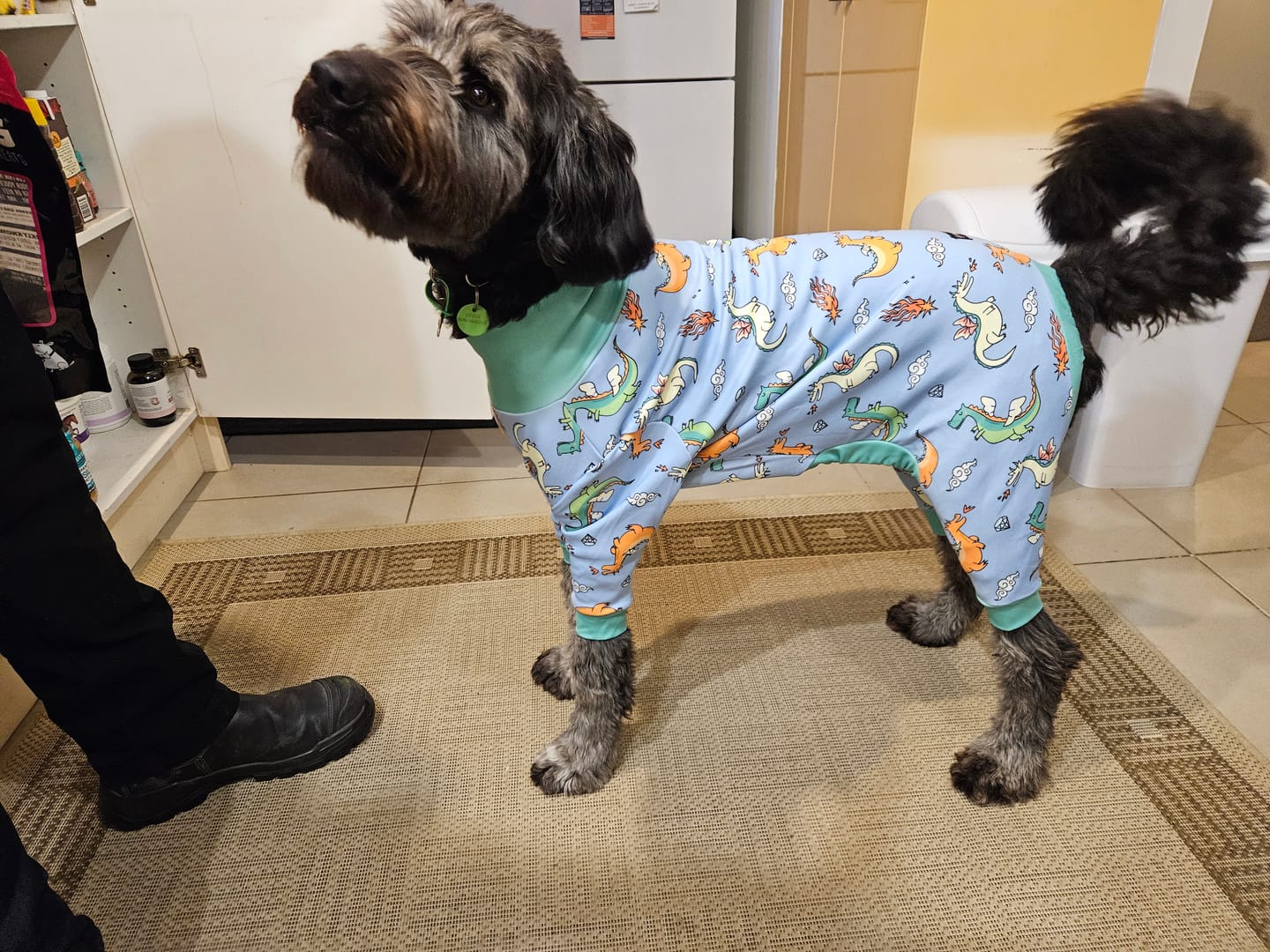 Customer photo review of Dog Pajama - Dragons