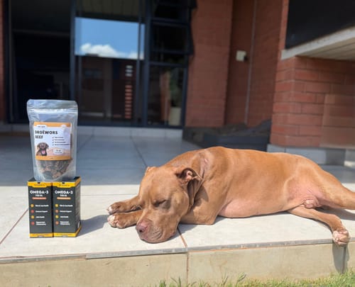 Customer photo review of Human-Grade Beef Liver Treats