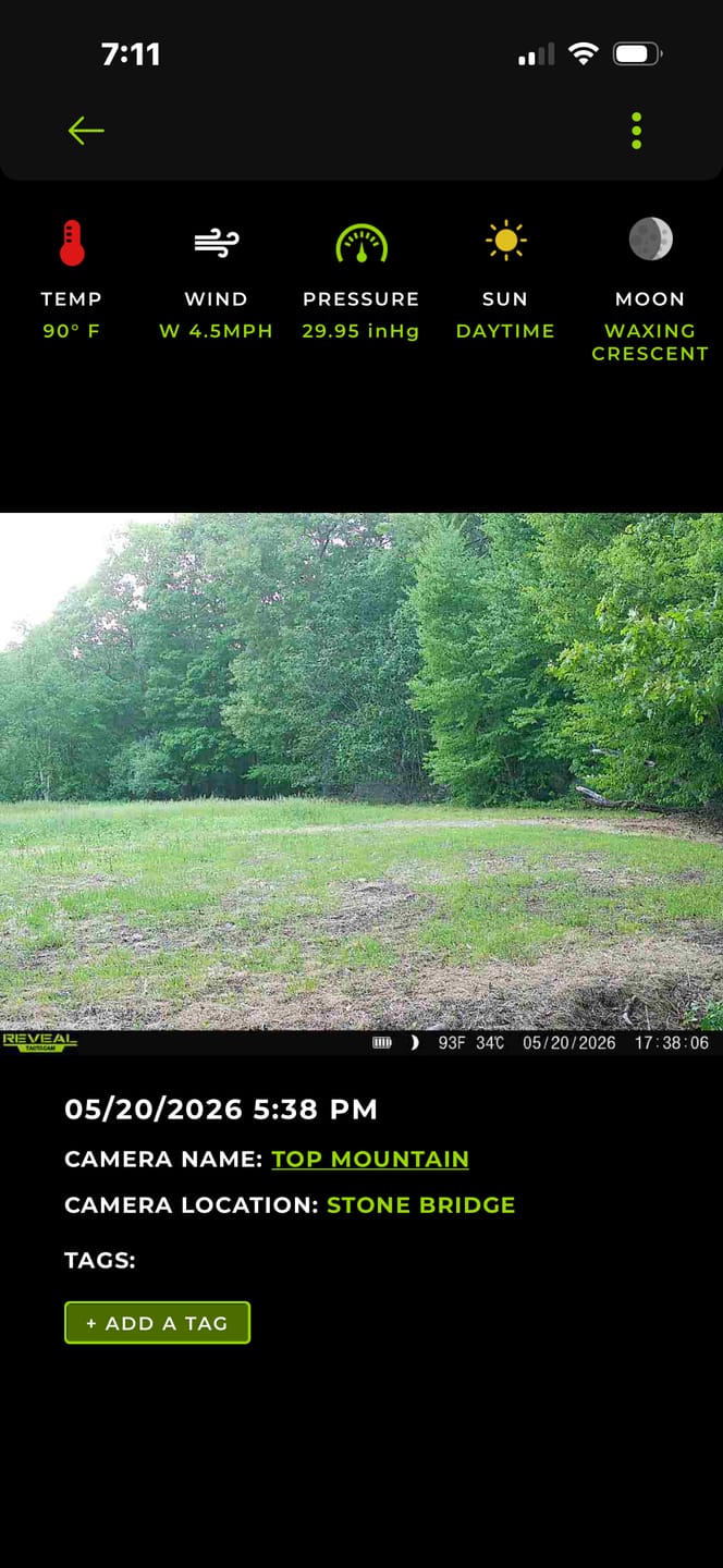 Customer photo review of Hot Chic™ Food Plot Seed