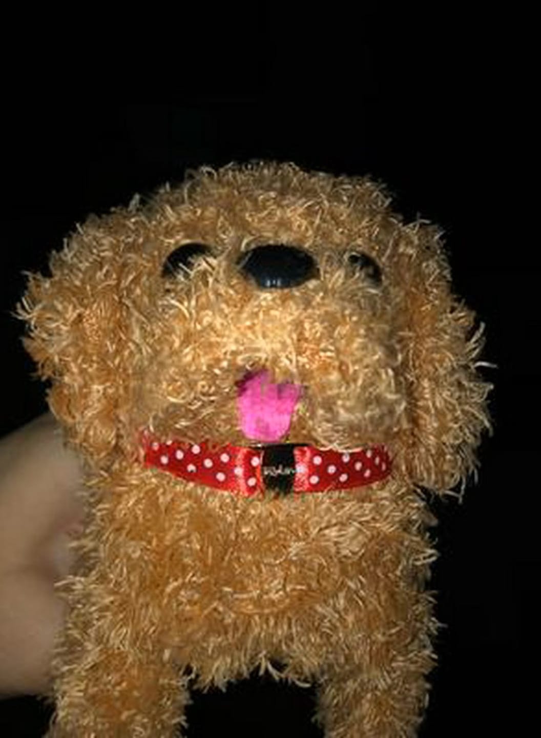 Customer photo review of Interaktiver Roboter Hund Kinder | Realistisches Spielzeug Haustier
