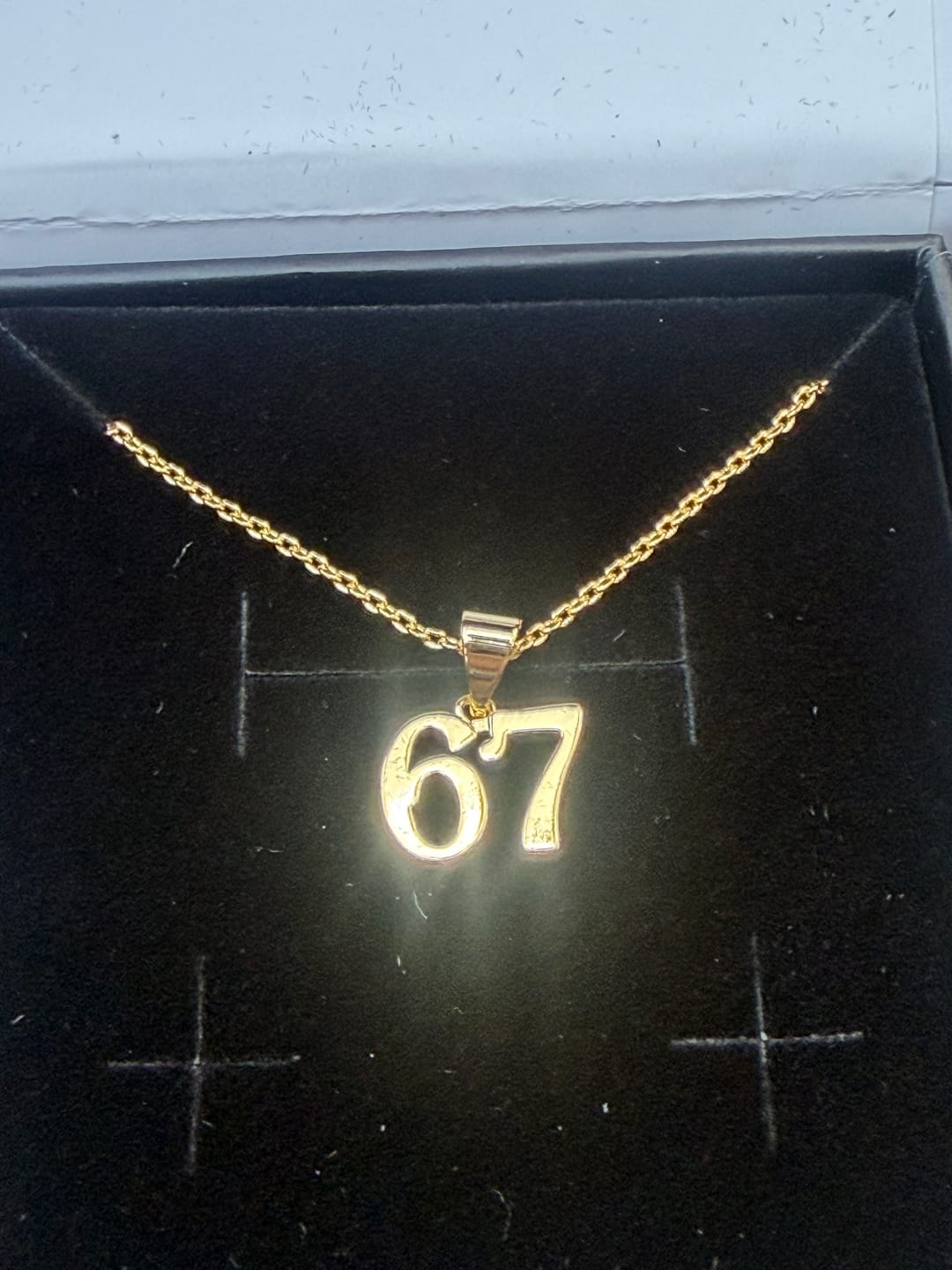 Customer photo review of Danna 18k White Gold Plated 67 Pendant Necklace for Women