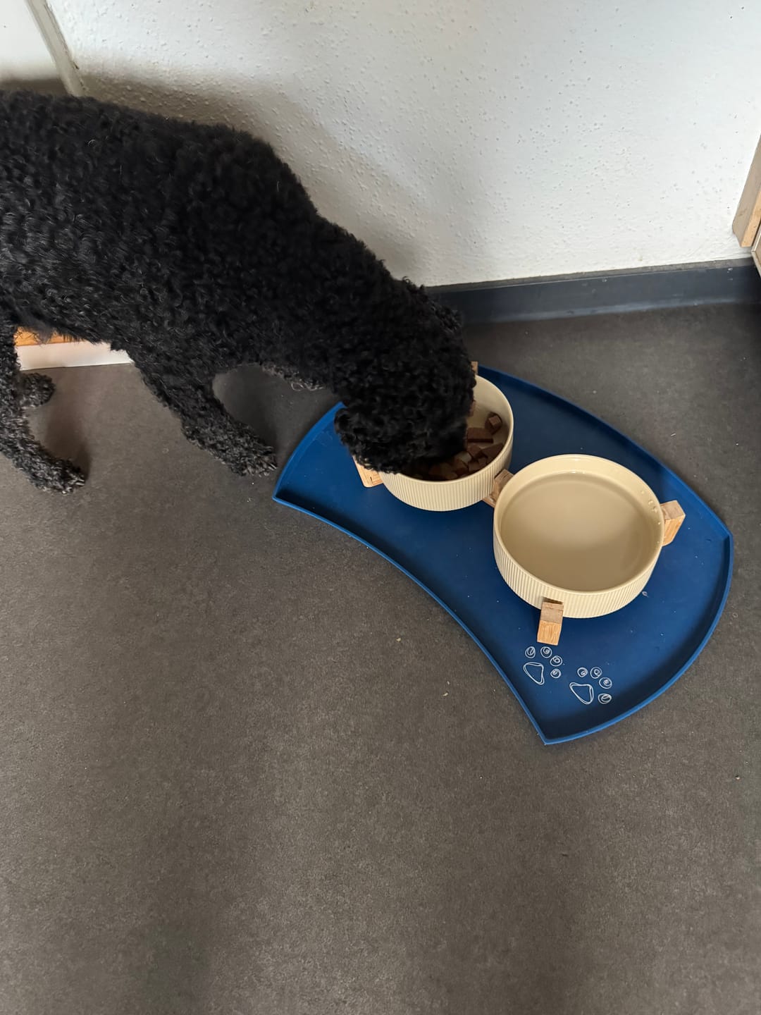 Customer photo review of Nutridog Menu Deluxe Rind pro Wurst 250g ab 4.40.-