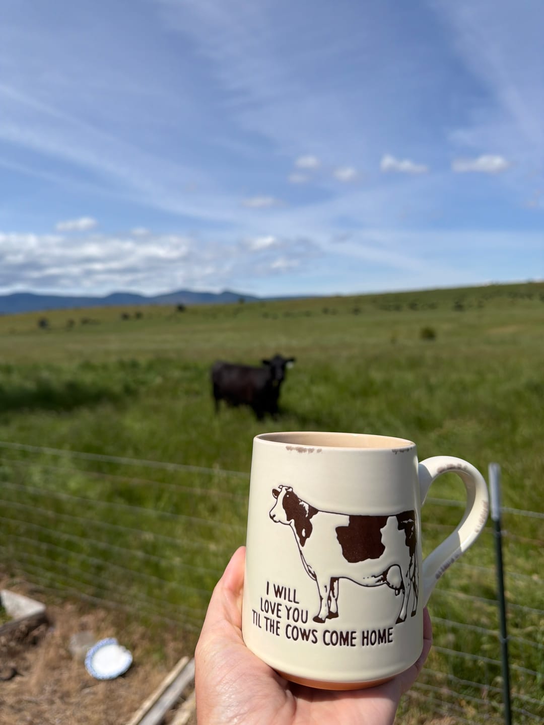 Customer photo review of Ranch Cow 18oz Mug