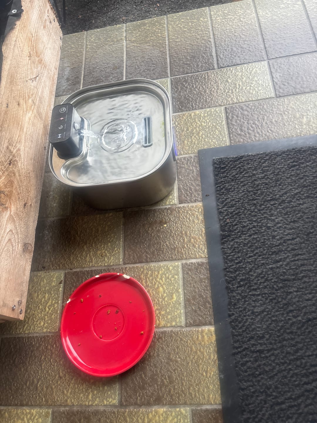 Customer photo review of PfotenBrunnen™ - Katzenwasserspender