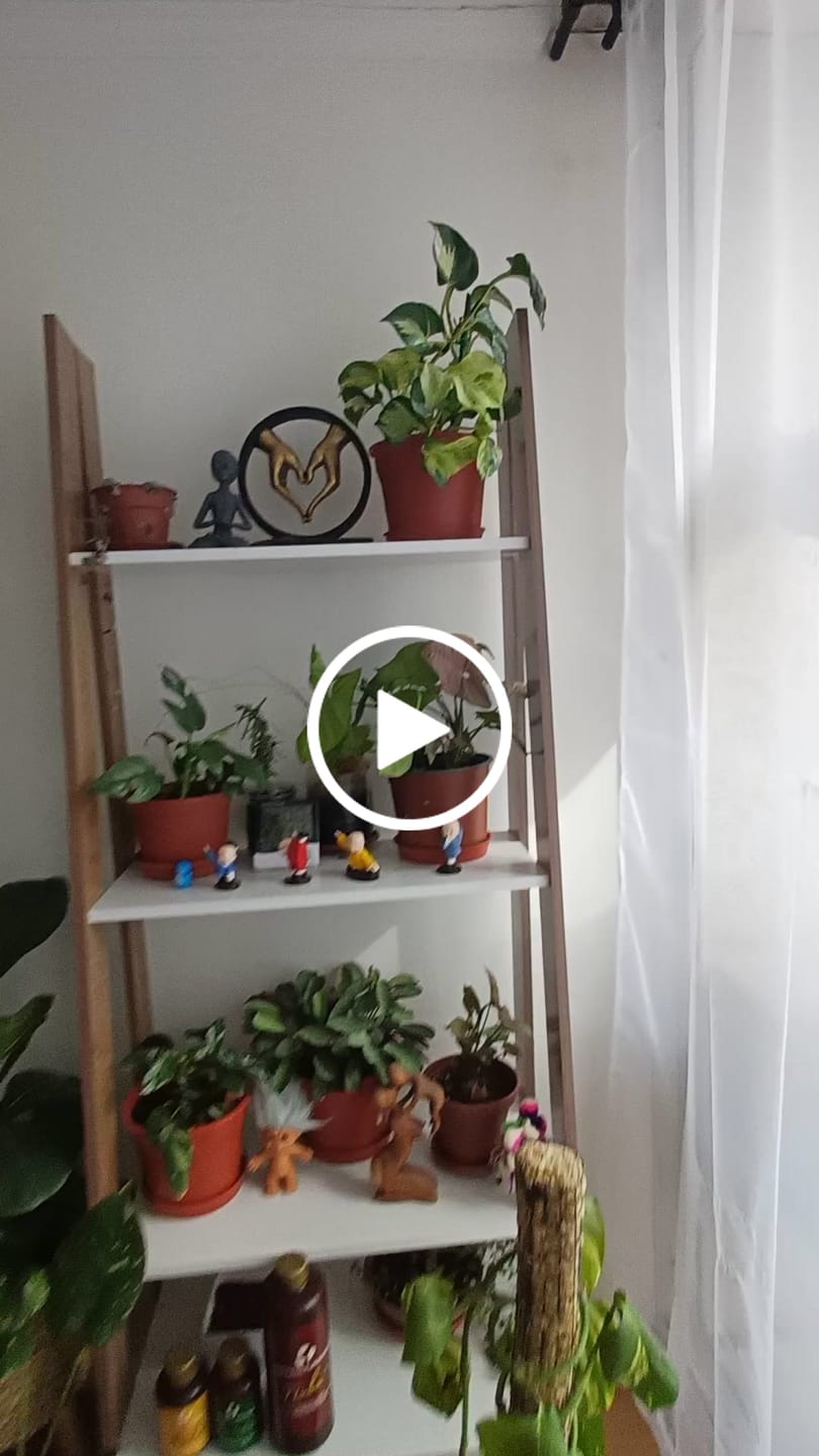 Customer video review of Sustrato Premium para Plantas de Interior y Tropicales – 5, 10 y 20 L