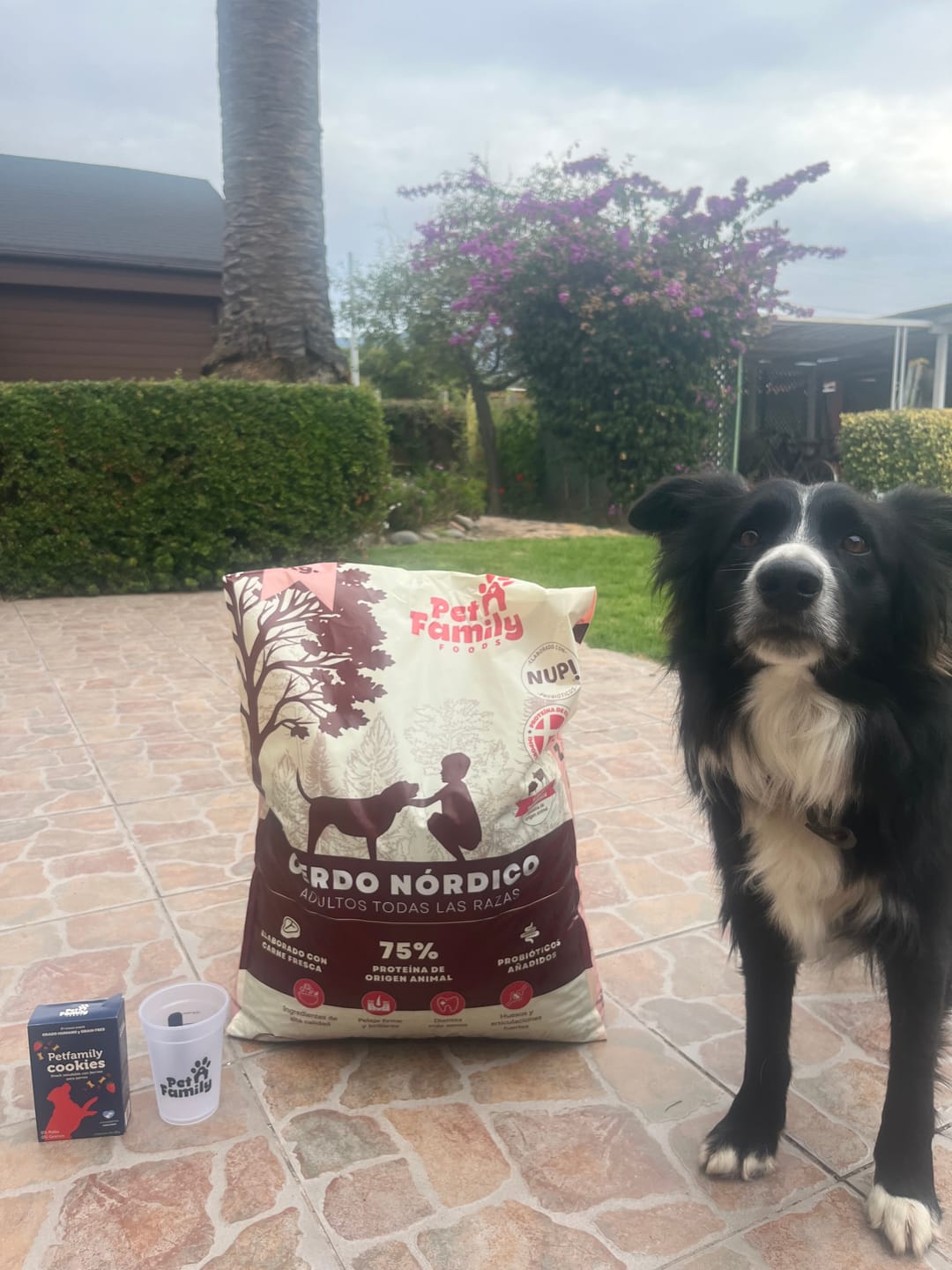 Customer photo review of PetFamily Foods Cerdo Nordico