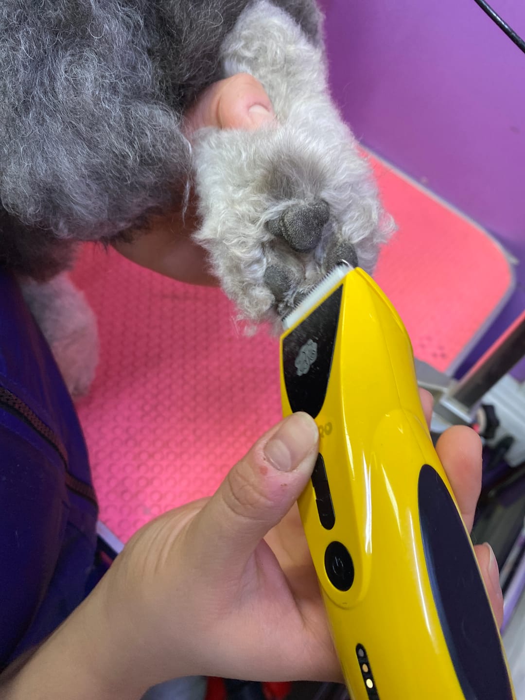 Customer photo review of Cortapelos Inalámbrico Potente para Perros y Gatos con Cuchilla Cerámica | LILIPROPET PT306