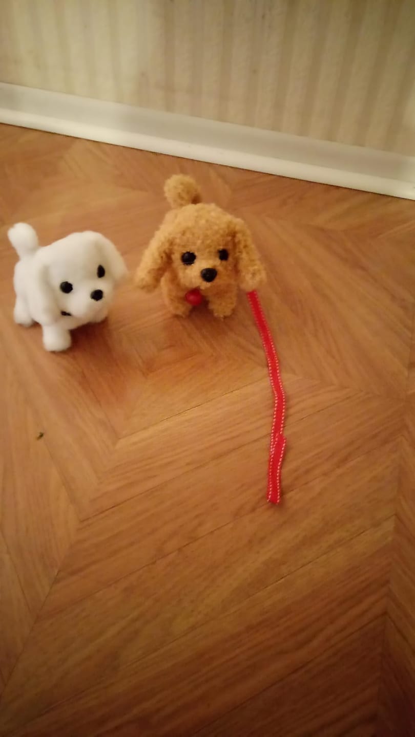 Customer photo review of Interaktiver Roboter Hund Kinder | Realistisches Spielzeug Haustier