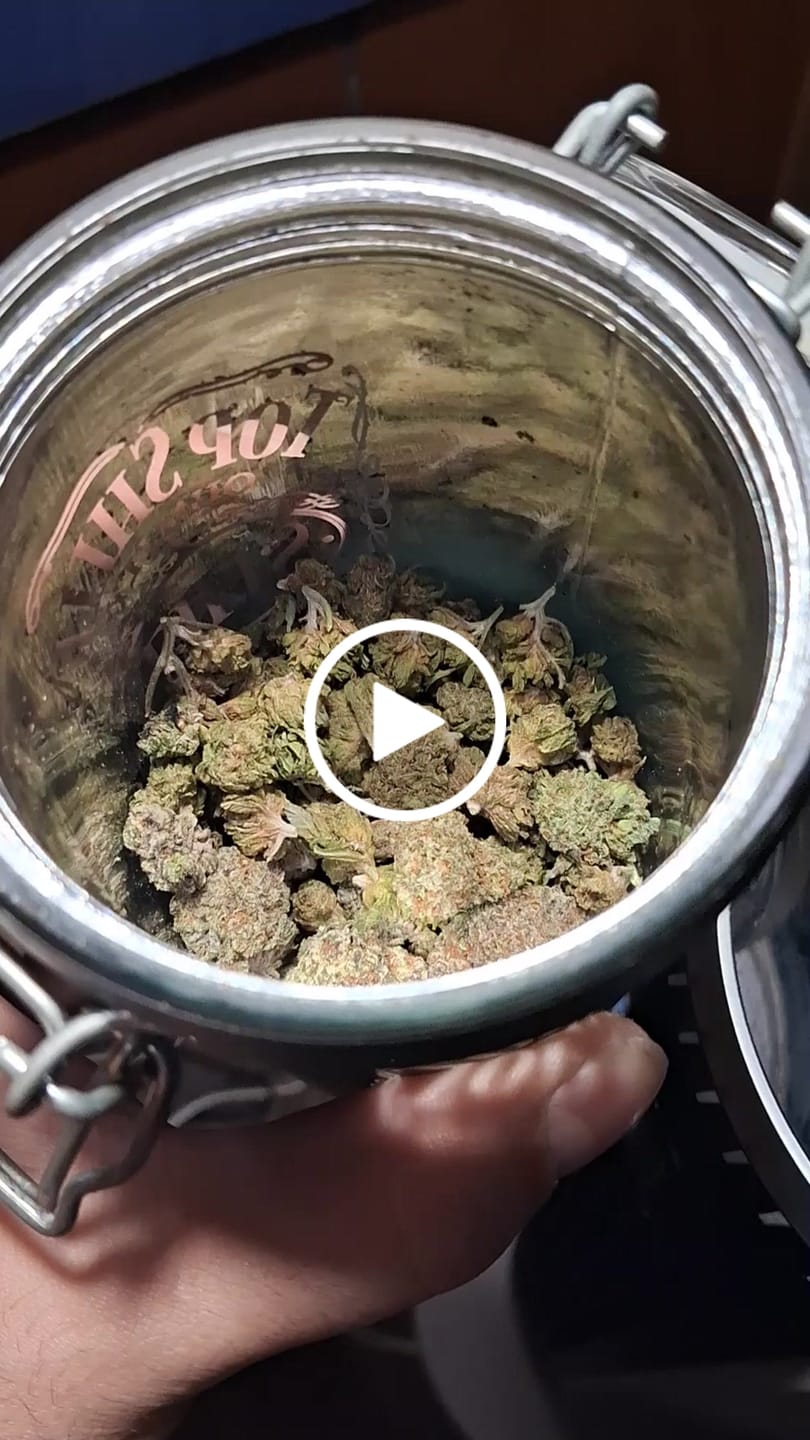 Customer video review of THCa Greenhouse Smalls