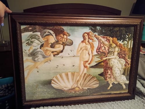 Customer photo review of The Birth of Venus by Sandro Botticelli