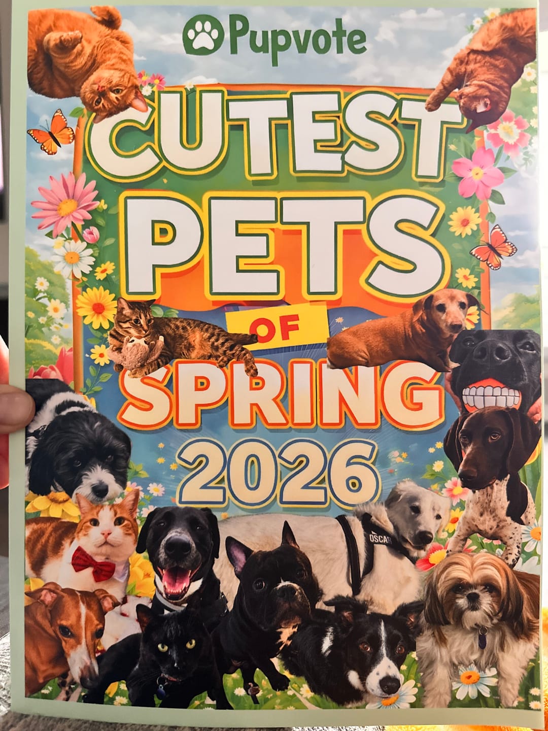 Customer photo review of Cutest Pets of Pupvote Spring 2026