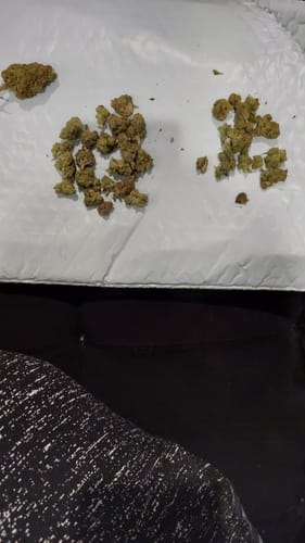 Alien OG - Minis - 28 Grams - Indica photo review