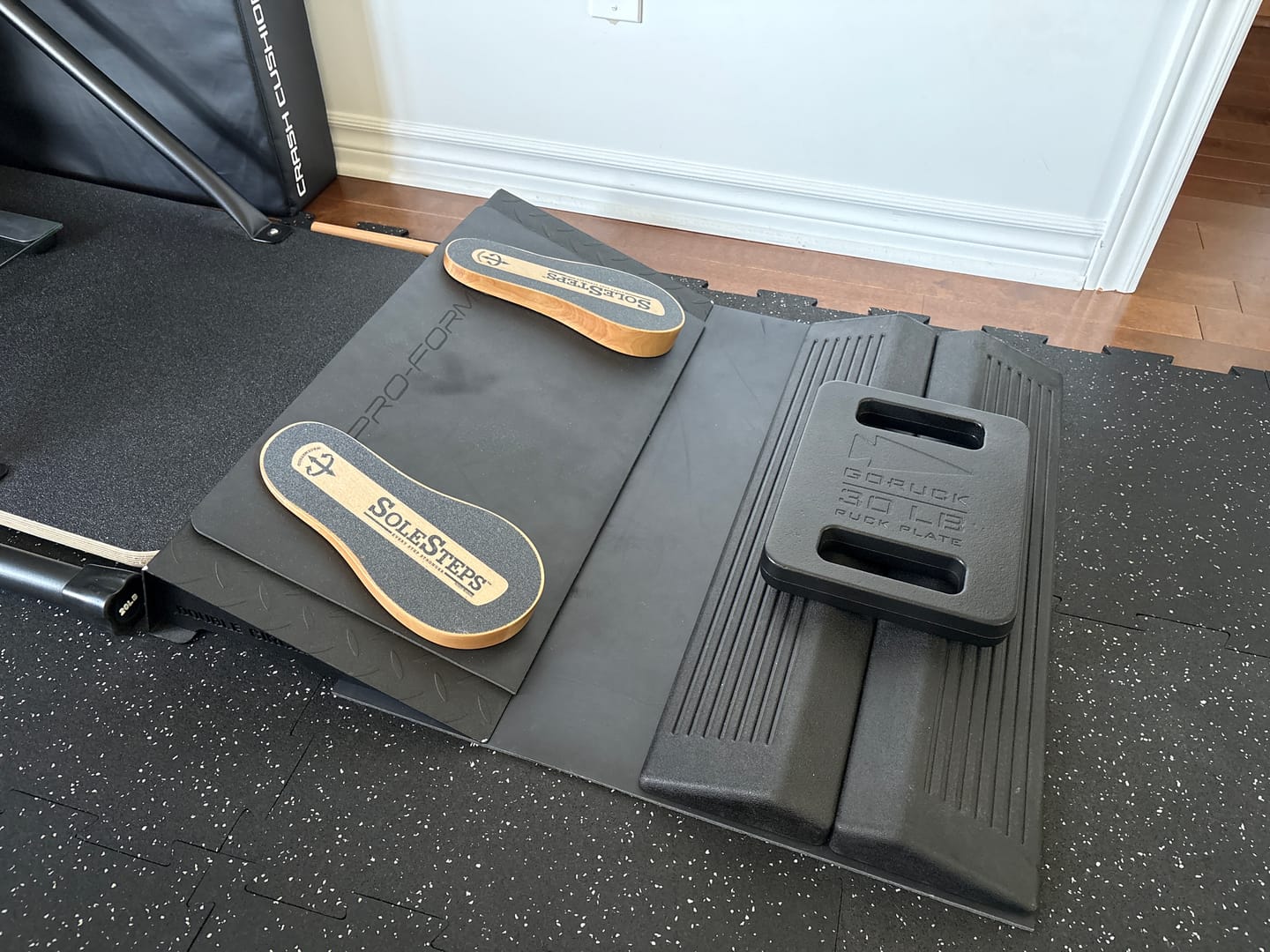Customer photo review of SoleSteps®