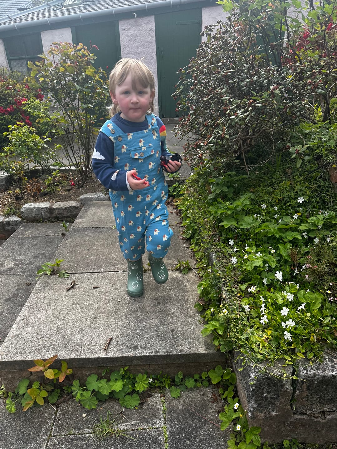 Customer photo review of Blue Elephants Dungaree Shorts