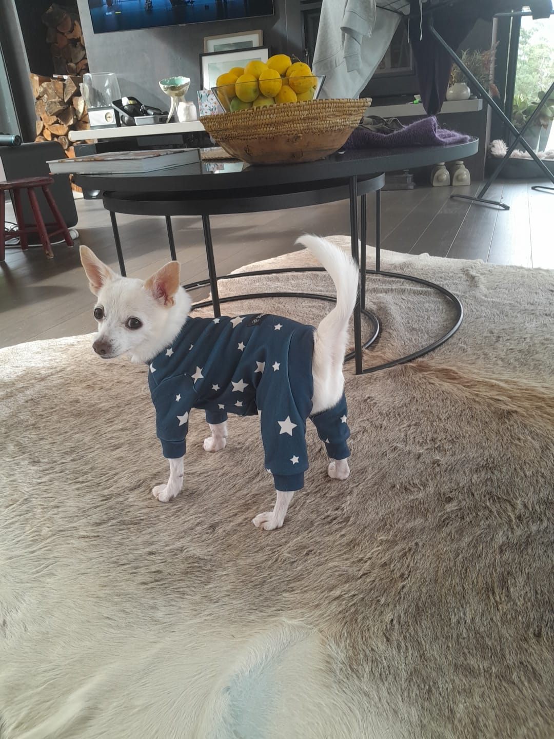 Customer photo review of Dog Pajama Prints