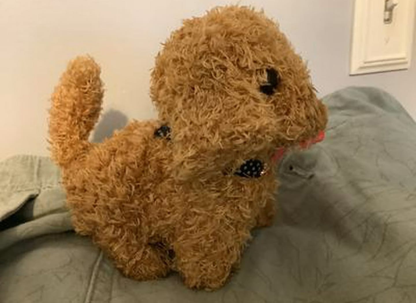 Customer photo review of Interaktiver Roboter Hund Kinder | Realistisches Spielzeug Haustier