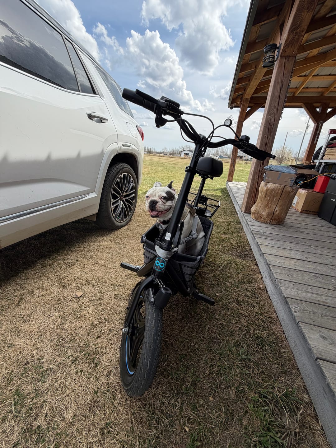 Customer photo review of Gyroor C1Plus Folding Electric Scooter with Seat-650W Motor(Peak 1000W),Top Speed 18.6MPH, Large Storage