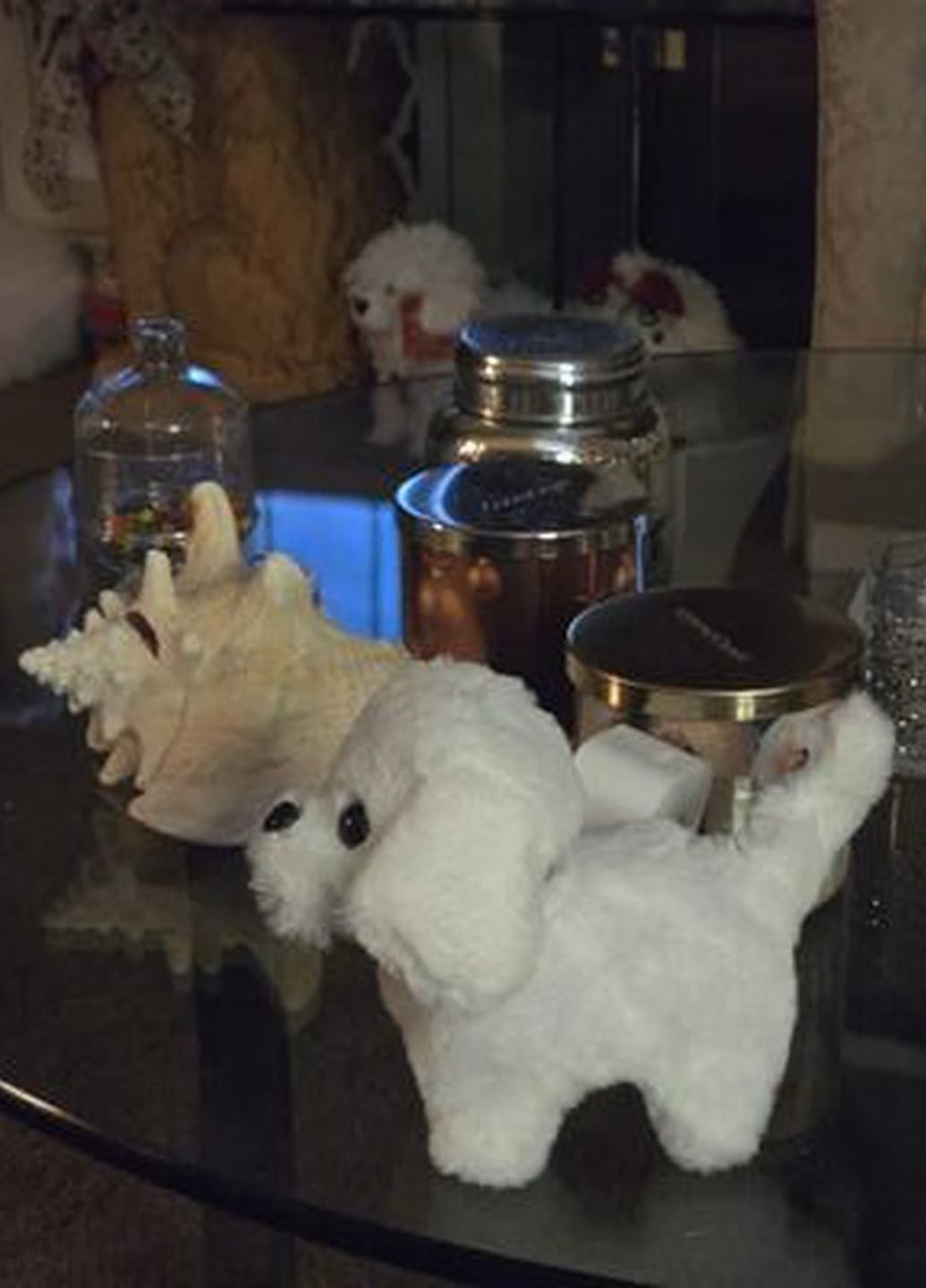 Customer photo review of Interaktiver Roboter Hund Kinder | Realistisches Spielzeug Haustier