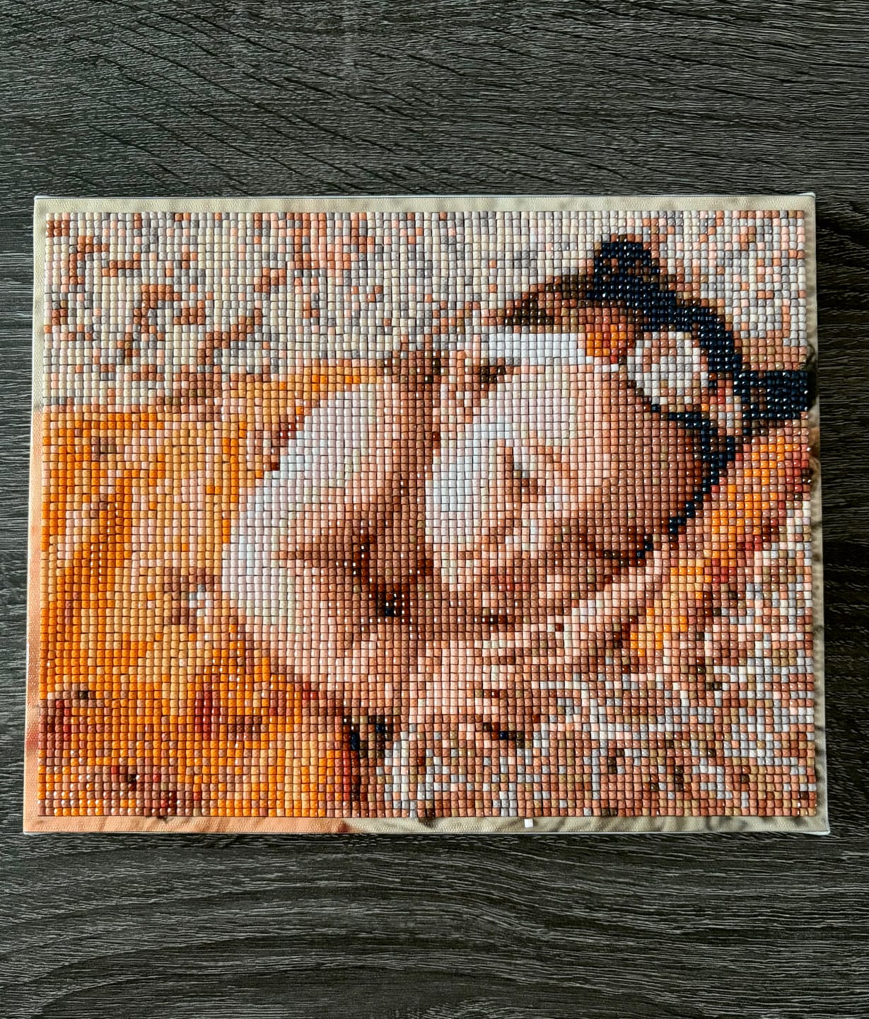 Customer photo review of Custom Diamond Painting From Your Photo
