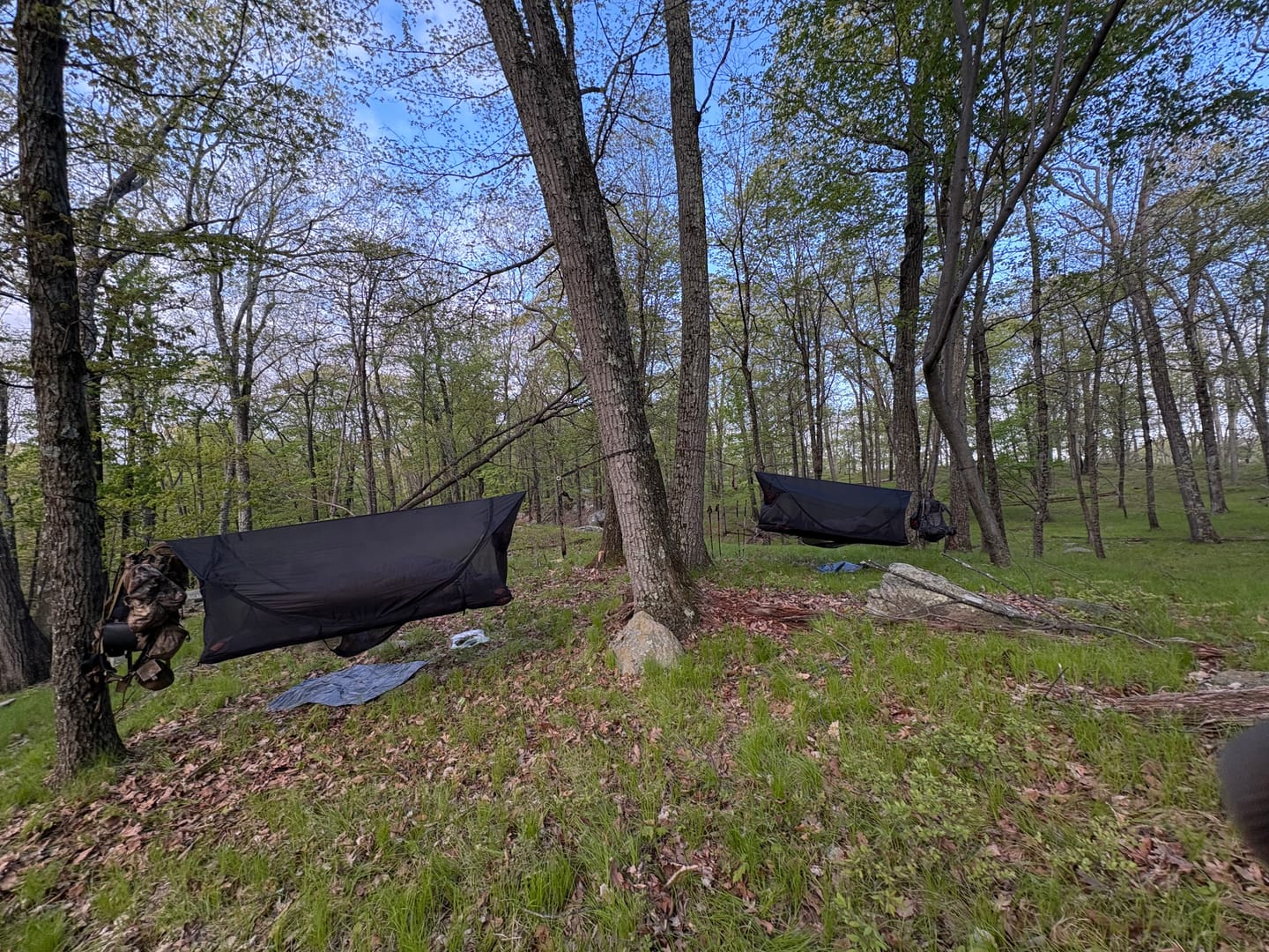 Customer photo review of Haven Spectre