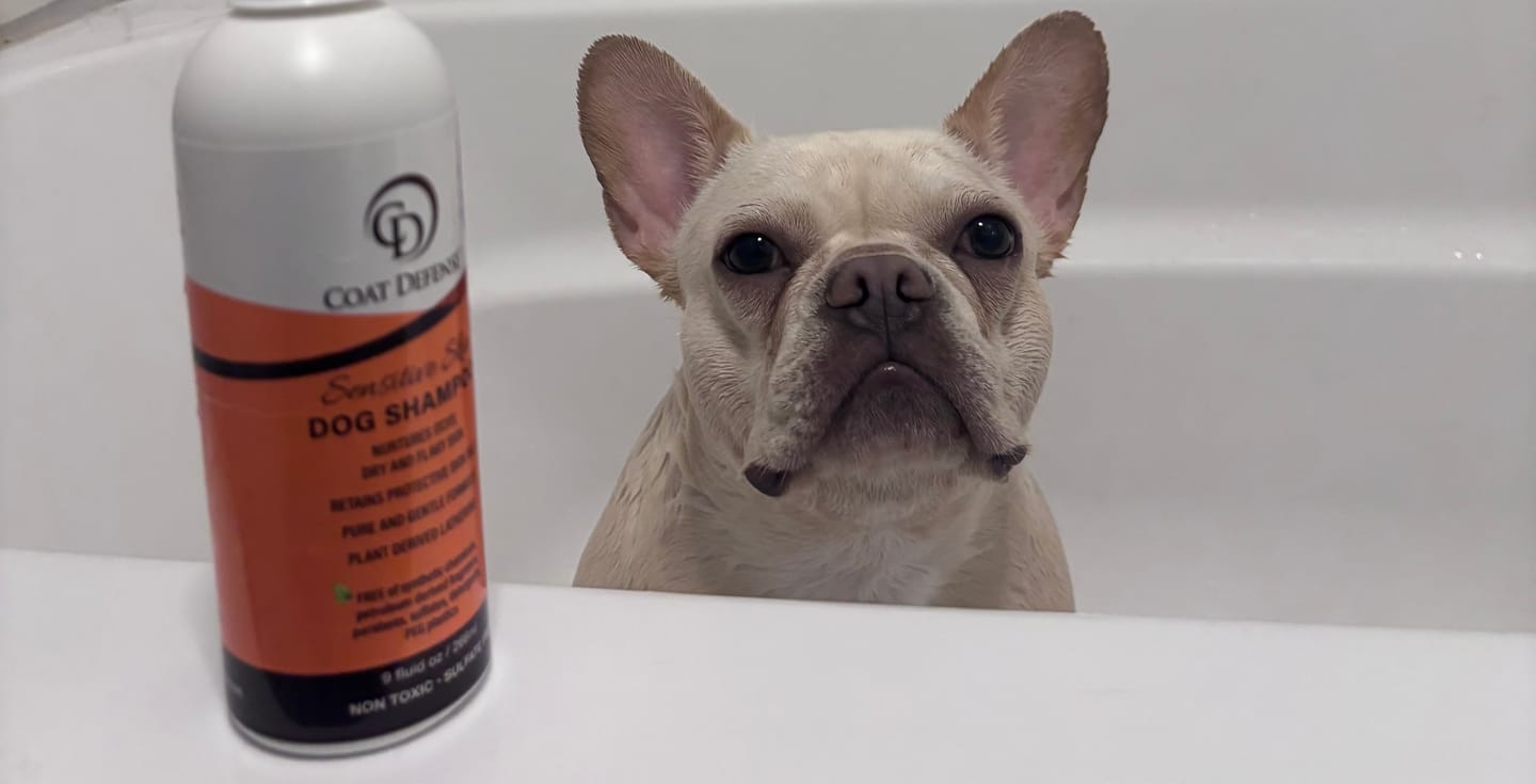 Customer photo review of Sensitive Skin Dog Shampoo - 8oz  Concentrated