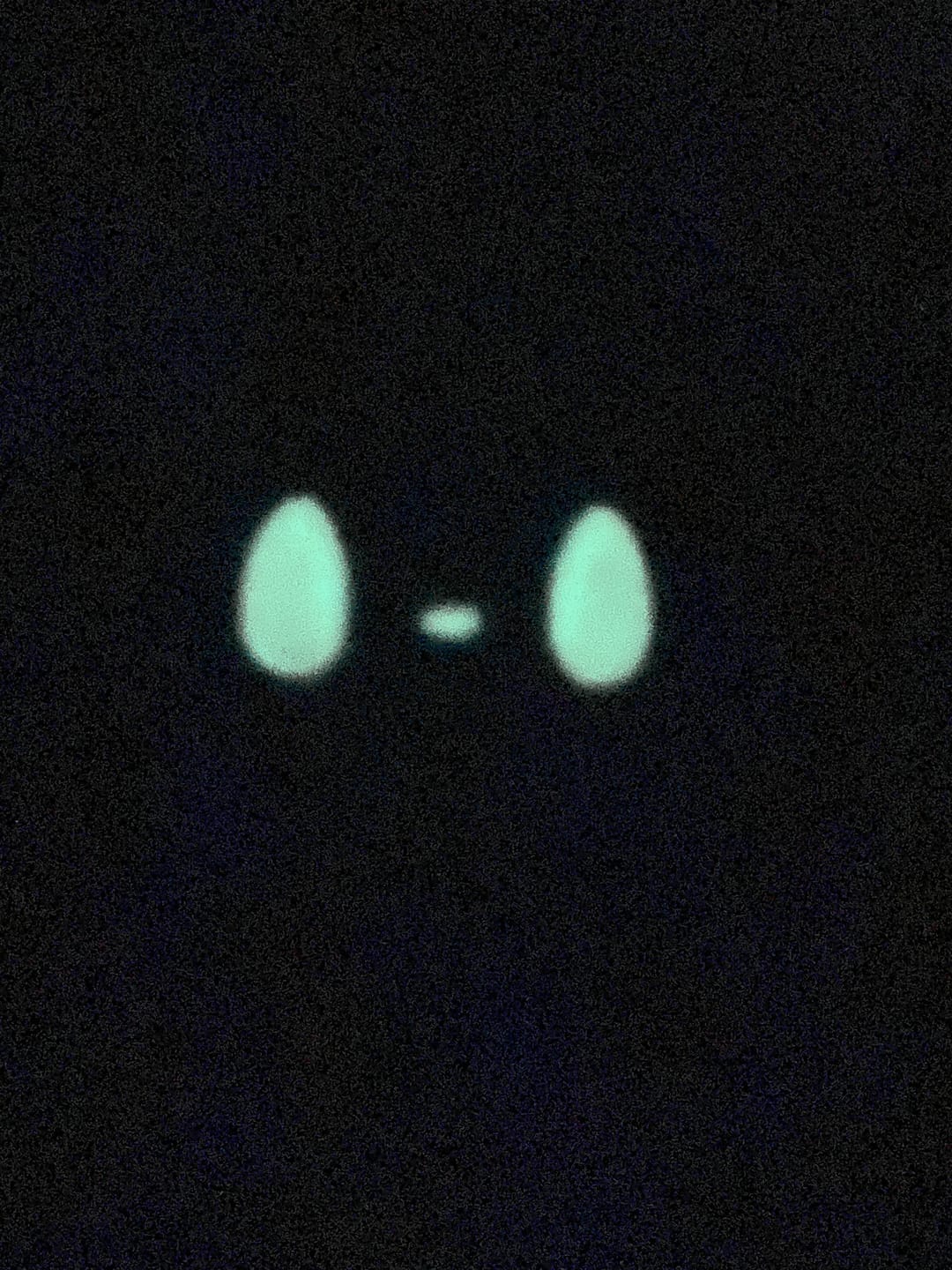 Customer photo review of Rain World - The Watcher Slugpup Plush