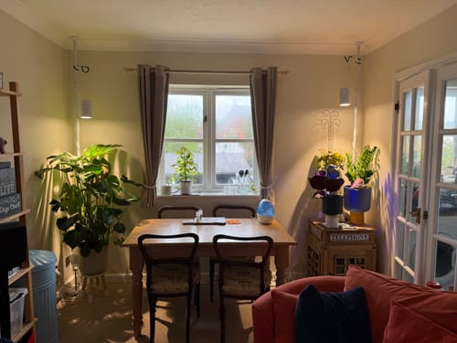 Customer photo review of Claria Grow Light x2 Pack Bundle