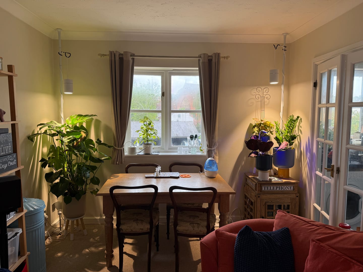 Customer photo review of Claria Grow Light x2 Pack Bundle