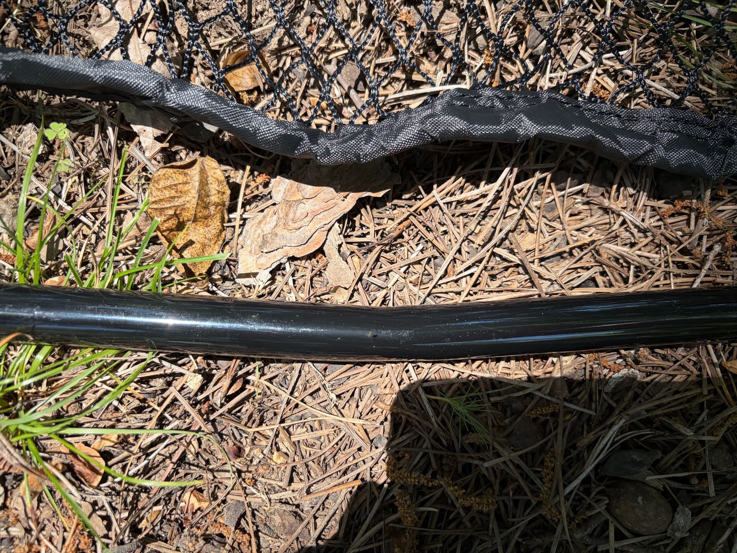 Customer photo review of Titan Hitting Nets