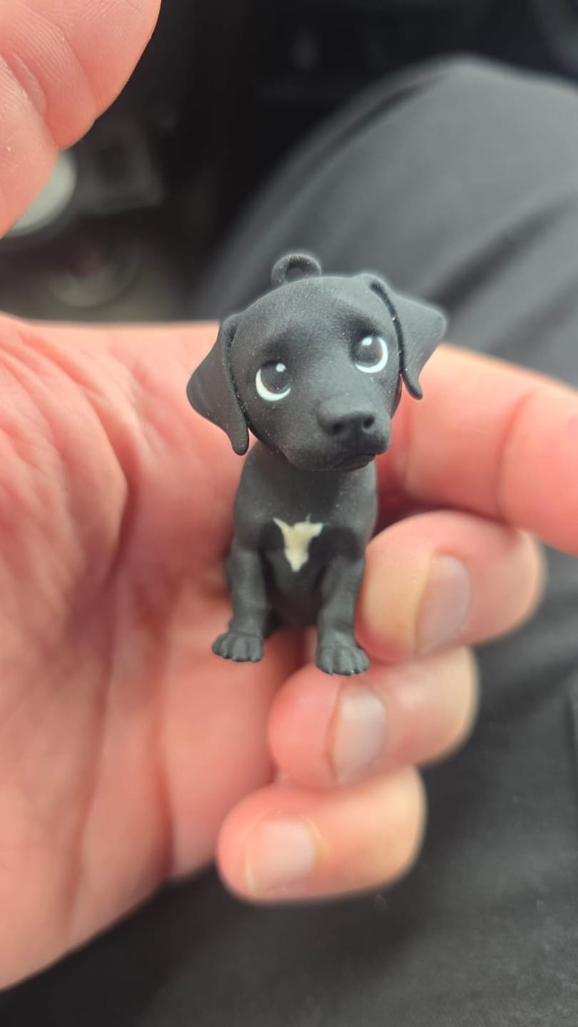 Customer photo review of Custom 3D Pet Figure Keychain & Bag Charm - Take Them Everywhere