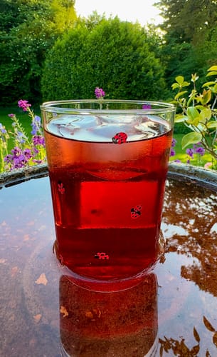 Customer photo review of San Pellegrino - Sanbitter Red Italian Aperitif
