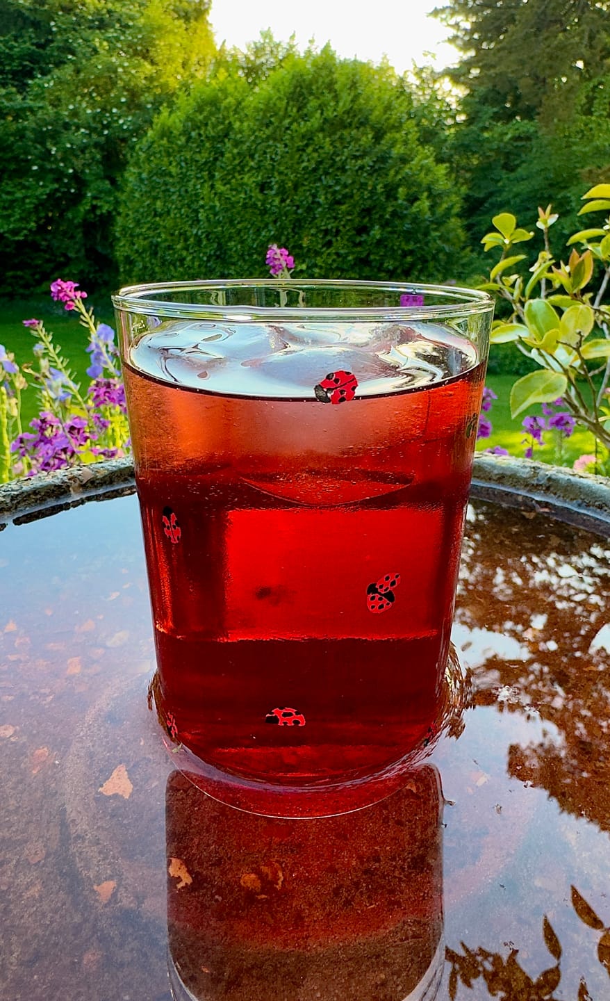 Customer photo review of San Pellegrino - Sanbitter Red Italian Aperitif