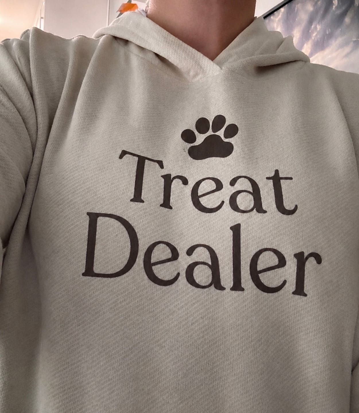 Customer photo review of Treat Dealer