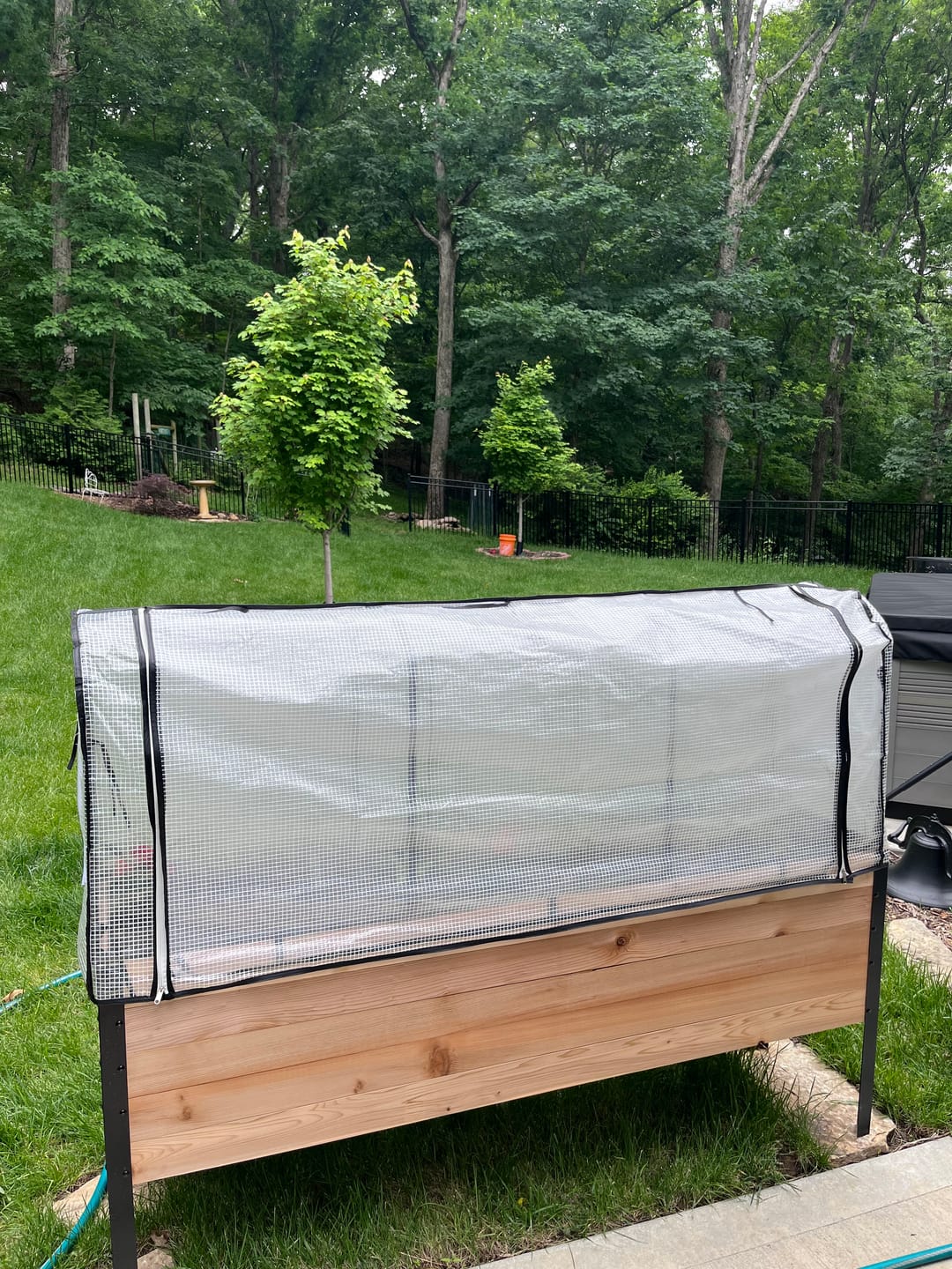 Customer photo review of Greenhouse Cover